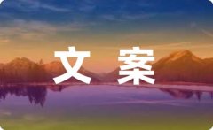 ”3性通知：用于处置日常工做中带事务性的工作